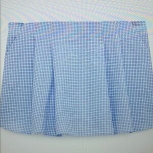 Blue Gingham Women's Skirt